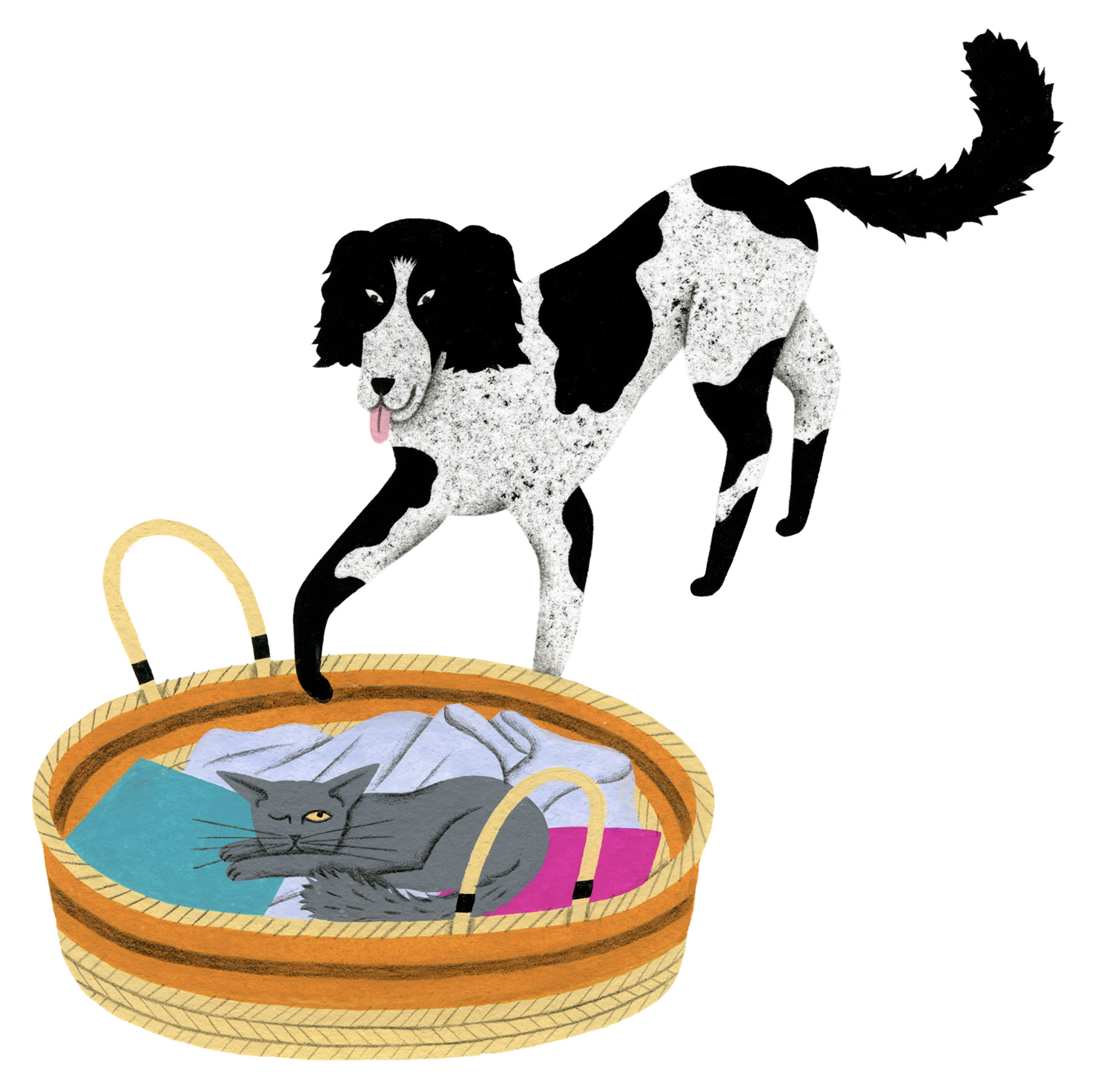 14 chien