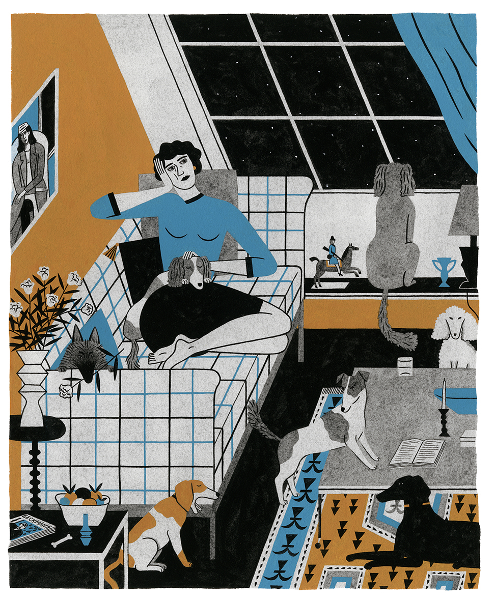 chiens_bleu_jaune