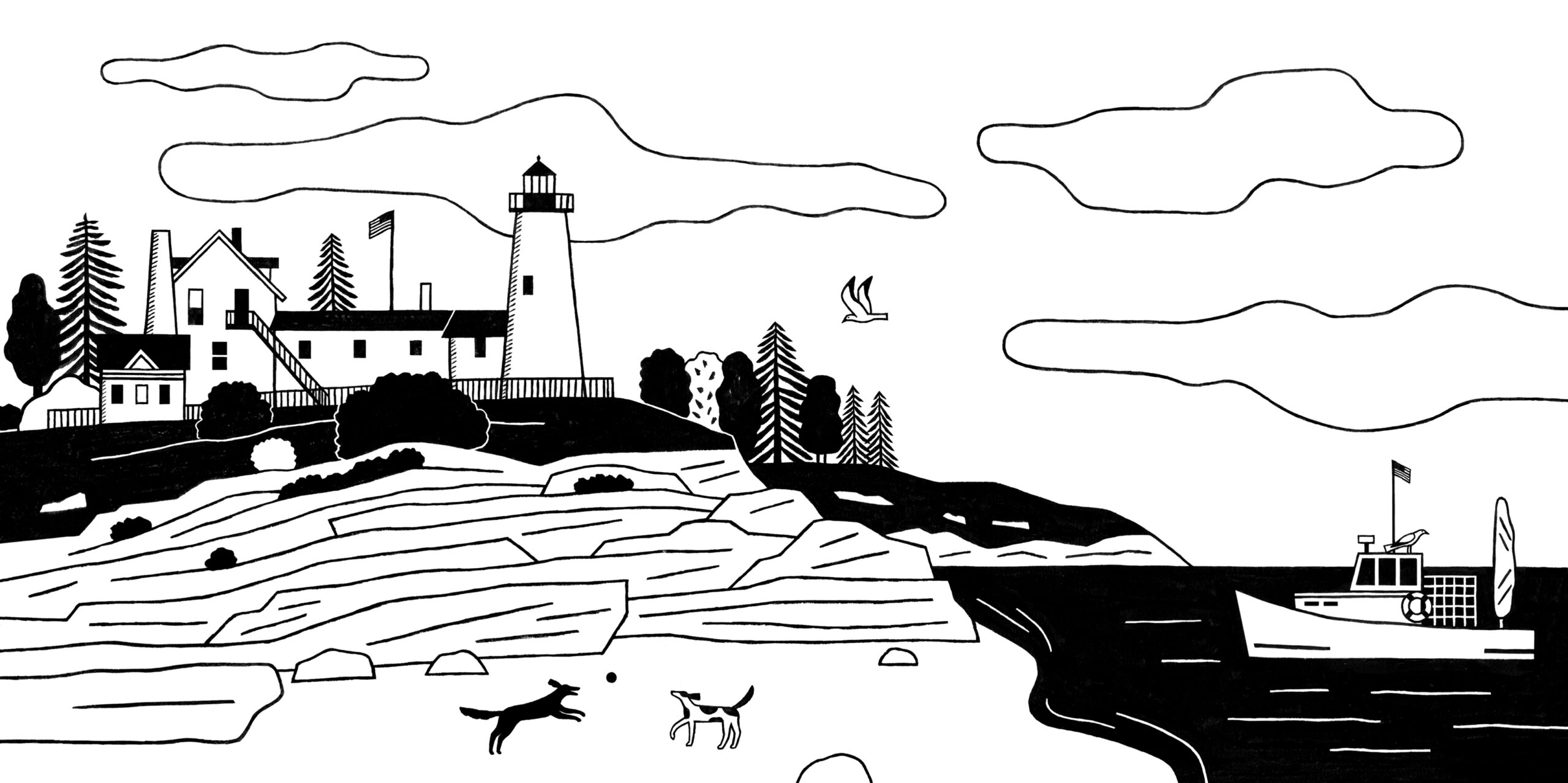 permaquid_black_final_v